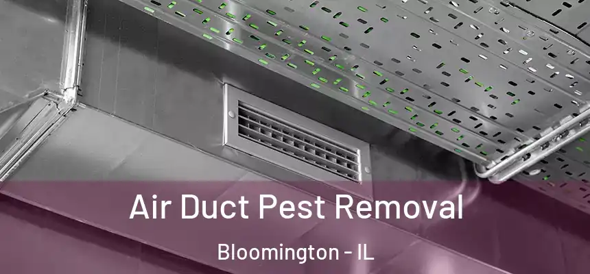  Air Duct Pest Removal Bloomington - IL