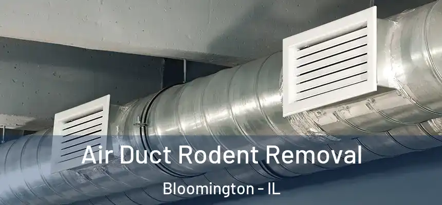 Air Duct Rodent Removal Bloomington - IL
