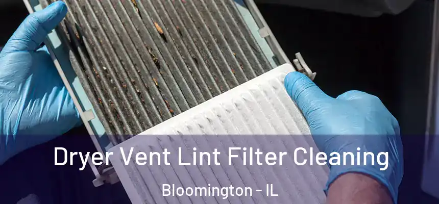  Dryer Vent Lint Filter Cleaning Bloomington - IL