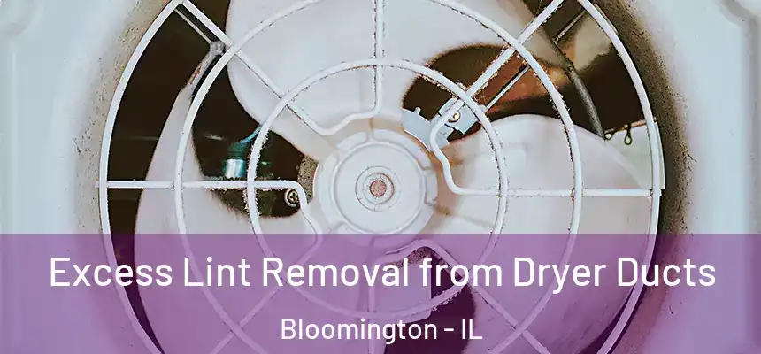  Excess Lint Removal from Dryer Ducts Bloomington - IL