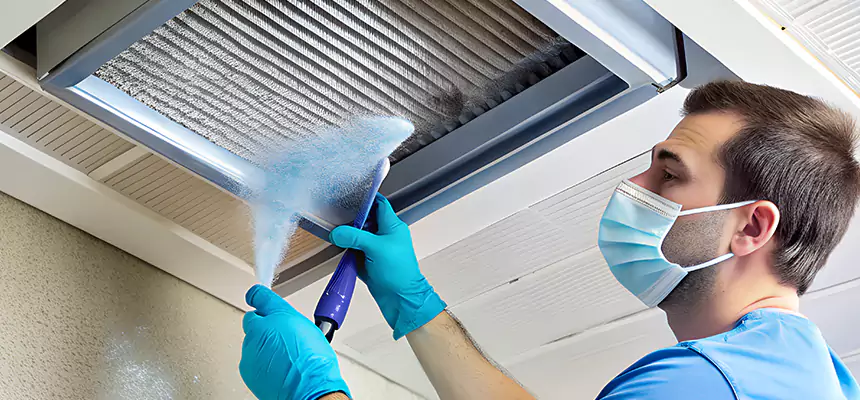 Proactive Dryer Vent & Auxiliary Duct Pollen Cleanup in Bloomington, IL