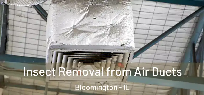  Insect Removal from Air Ducts Bloomington - IL
