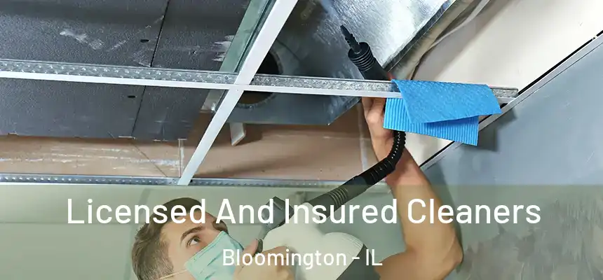  Licensed And Insured Cleaners Bloomington - IL
