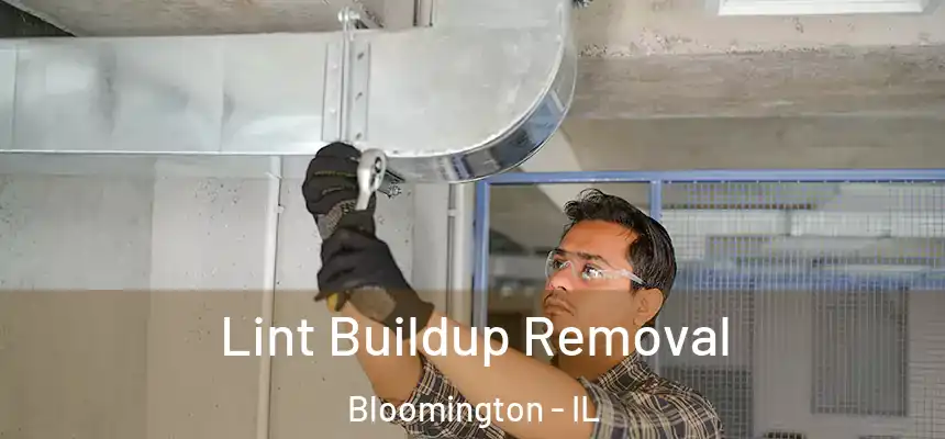  Lint Buildup Removal Bloomington - IL