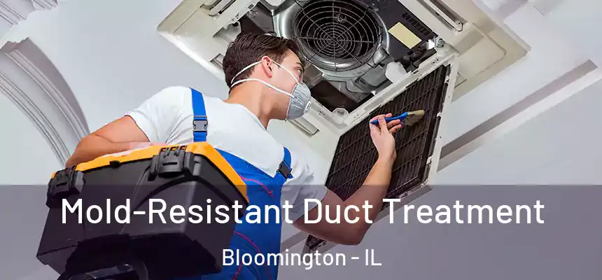 Mold-Resistant Duct Treatment Bloomington - IL