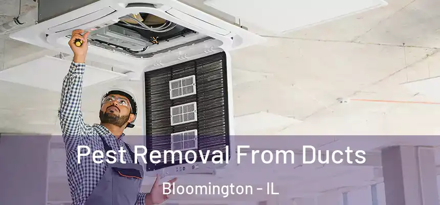  Pest Removal From Ducts Bloomington - IL