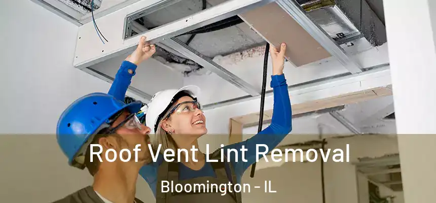  Roof Vent Lint Removal Bloomington - IL
