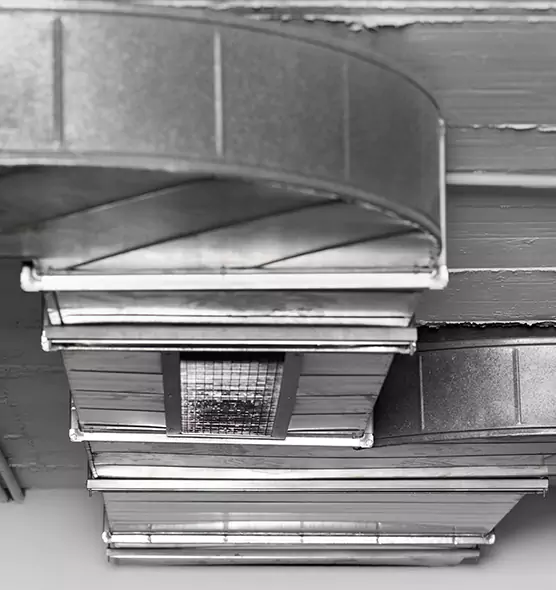 Professional Air Duct Pest Removal in Bloomington, IL