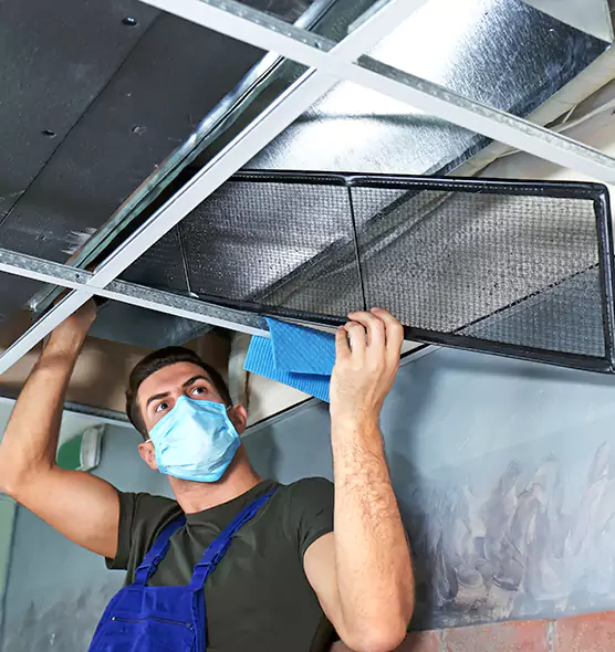 Professional Air Duct Pollen Cleaning in Bloomington, IL
