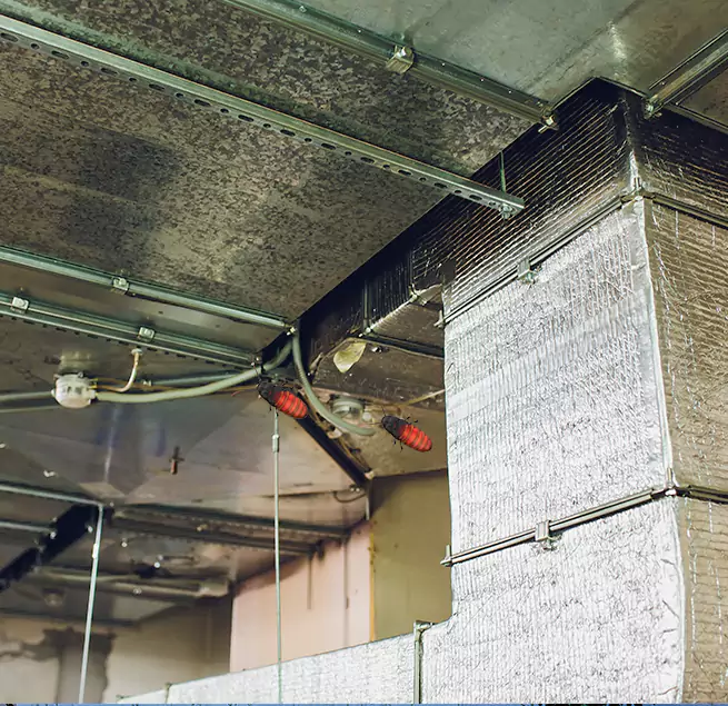 Why Homeowners & Businesses Trust Us in Bloomington, IL?