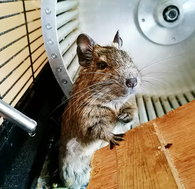 Why Homeowners & Businesses Trust Us Bloomington, IL?